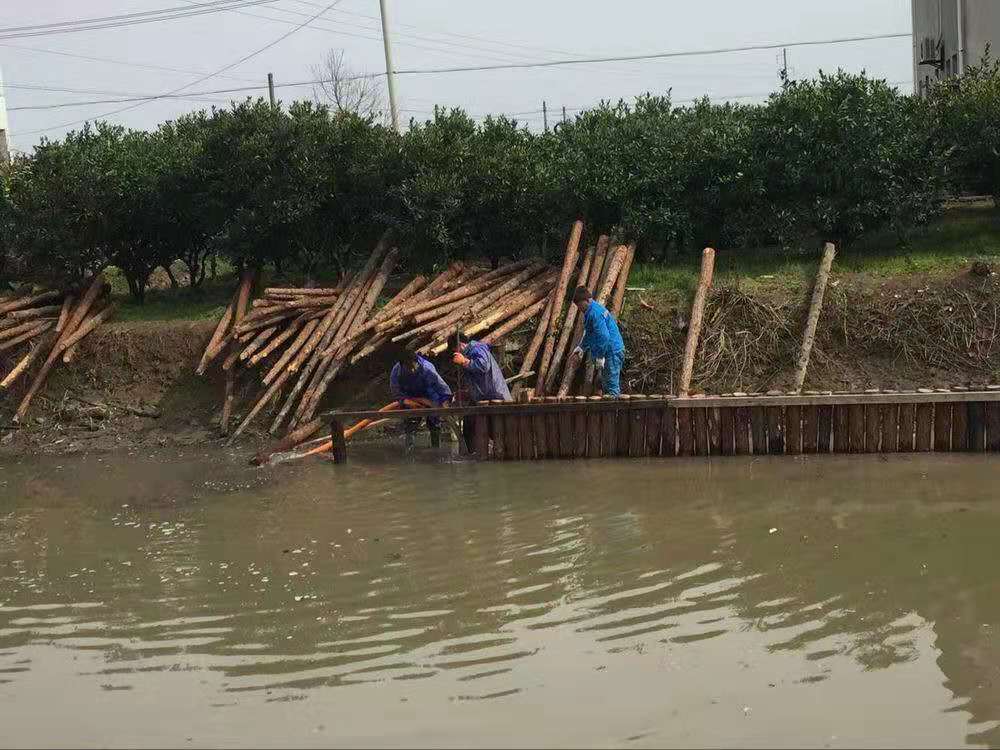 東海4米落葉松打樁木